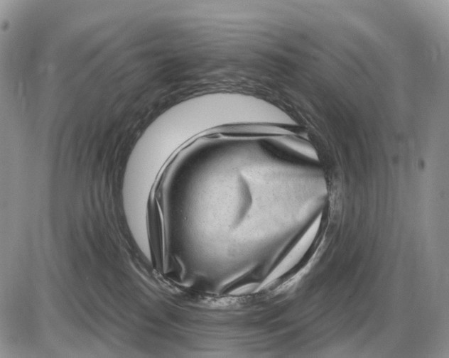 X0000085240186200703231633