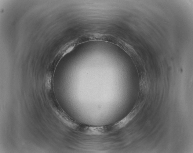 X0000085240188200703231633