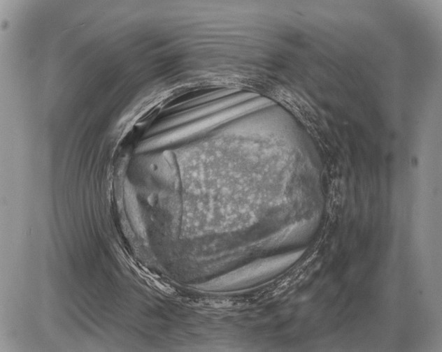 X0000085240194200703231633