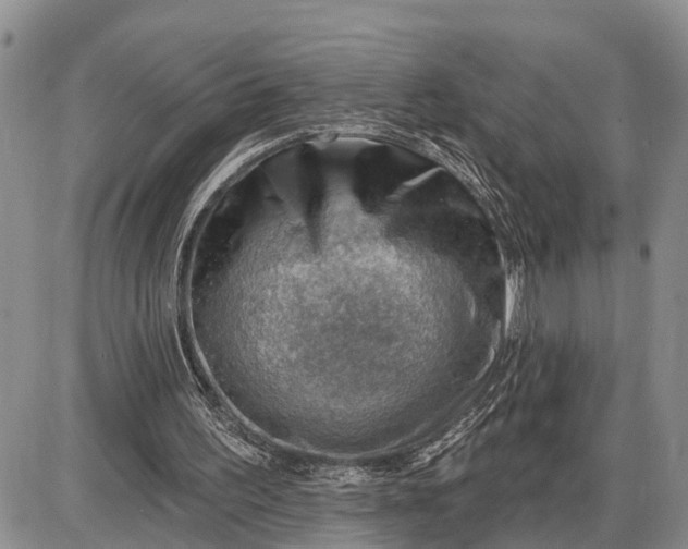 X0000085240195200703231633