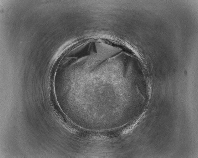 X0000085240199200703231633