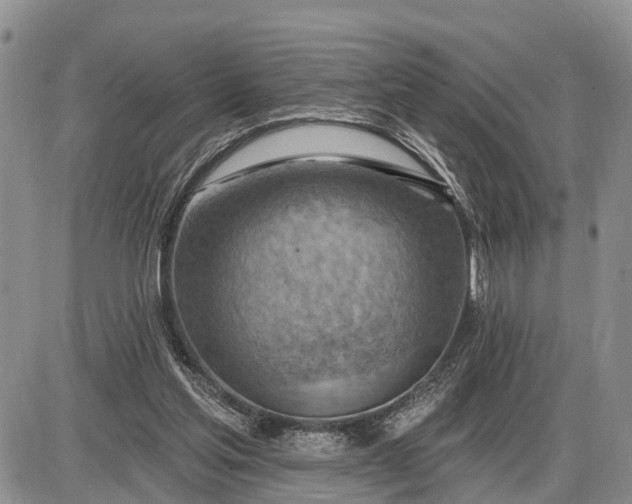 X0000085240205200703231633