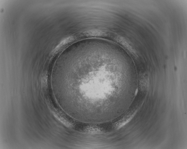 X0000085240207200703231633