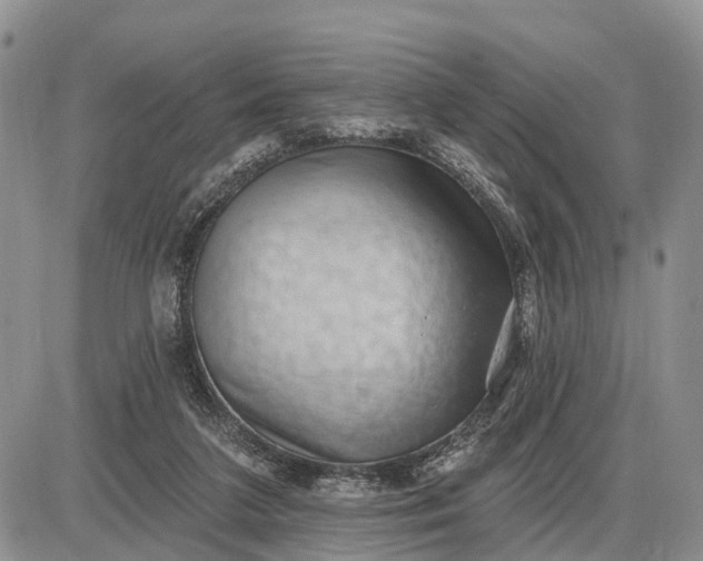 X0000085240211200703231632