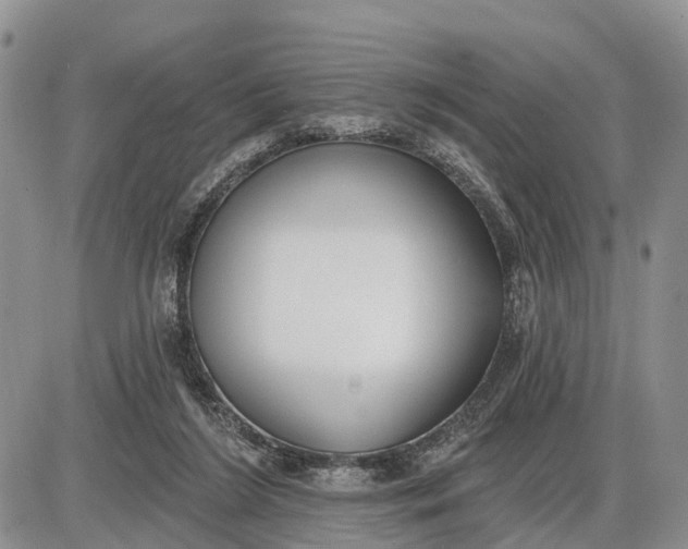 X0000085240212200703231632