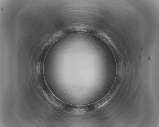 X0000085240213200703231632