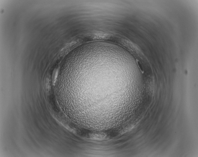 X0000085240215200703231632