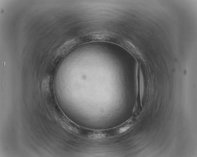 X0000085240217200703231632