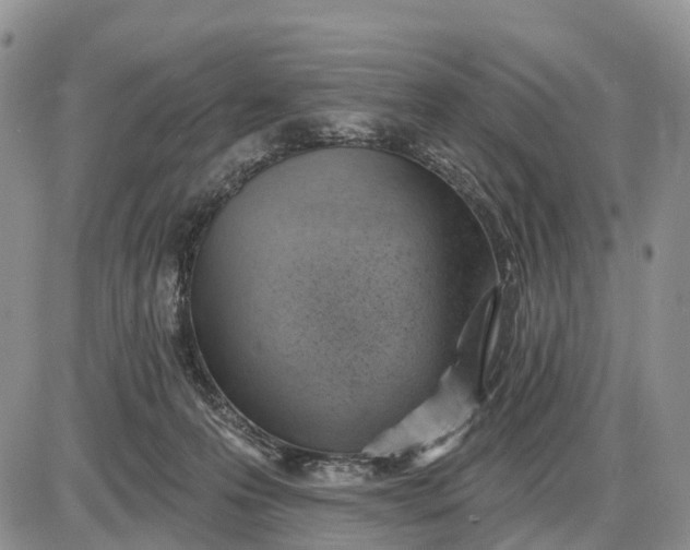 X0000085240223200703231632