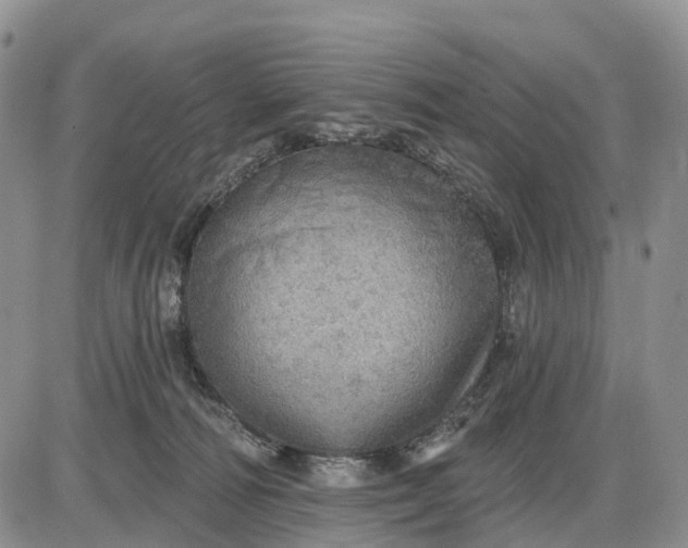 X0000085240226200703231632