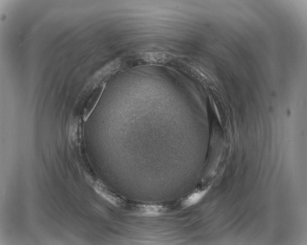 X0000085240233200703231632
