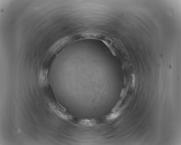 X0000085240239200703231632