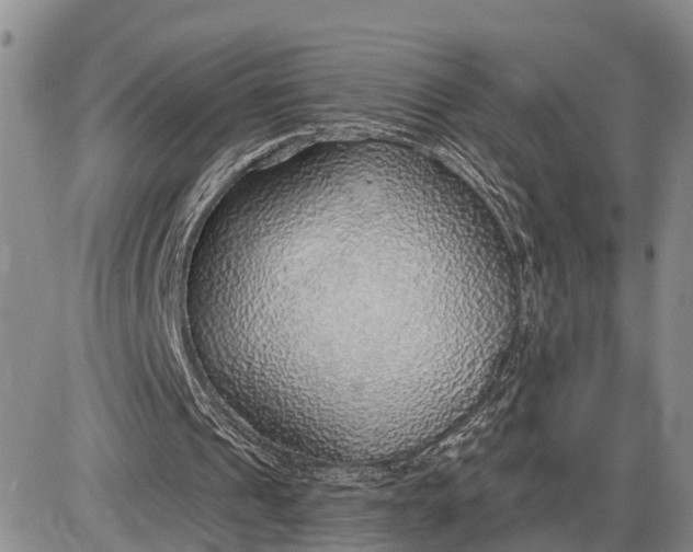X0000085240241200703231631