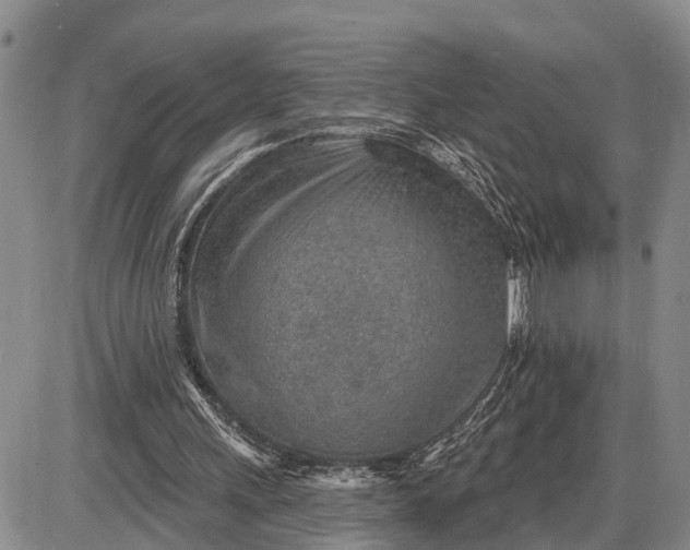 X0000085240243200703231631