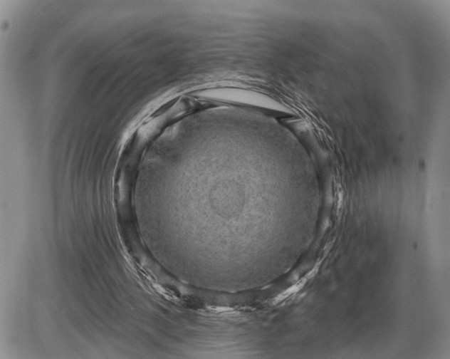 X0000085240244200703231631