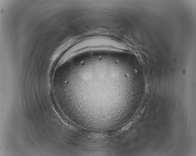 X0000085240245200703231631