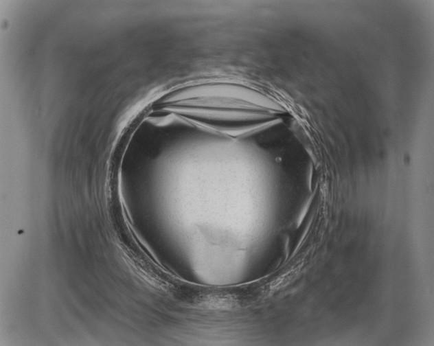 X0000085240248200703231631