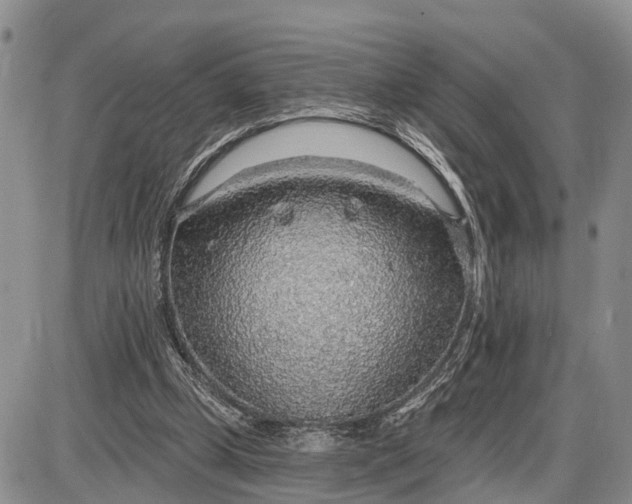X0000085240249200703231631