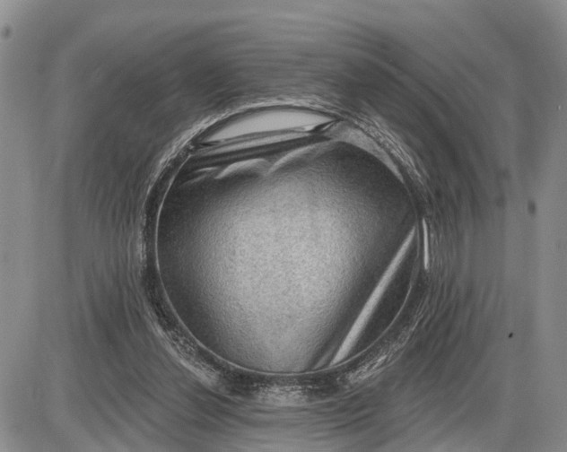 X0000085240252200703231631