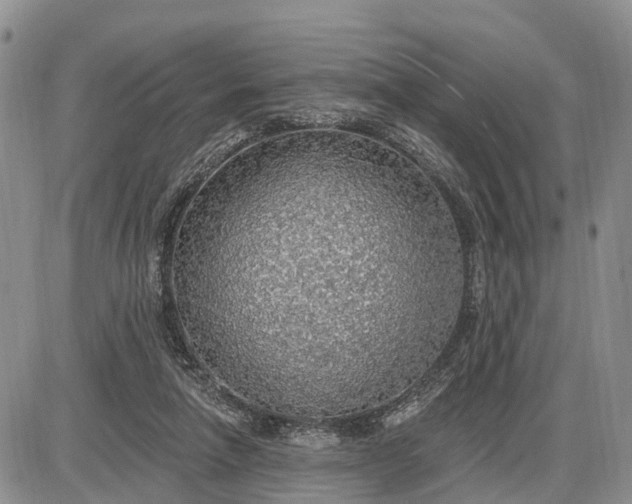 X0000085240258200703231631