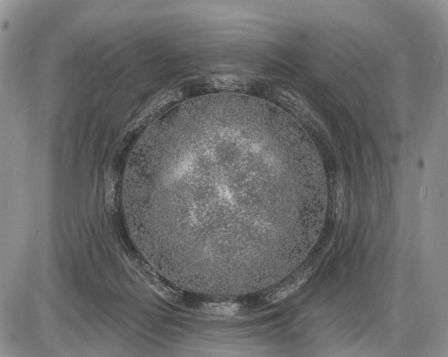 X0000085240266200703231632