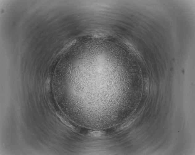 X0000085240269200703231632