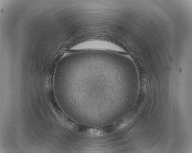 X0000085240272200703231632