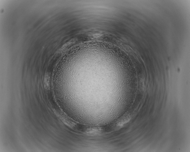 X0000085240274200703231632