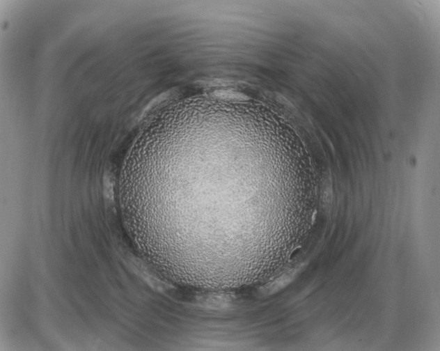 X0000085240282200703231632
