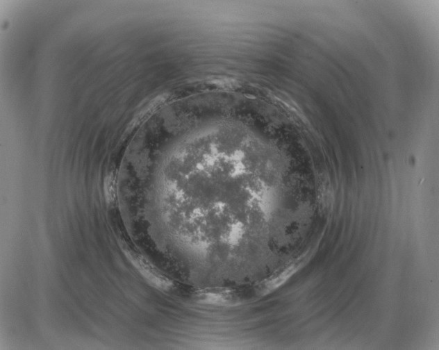 X0000085240285200703231632