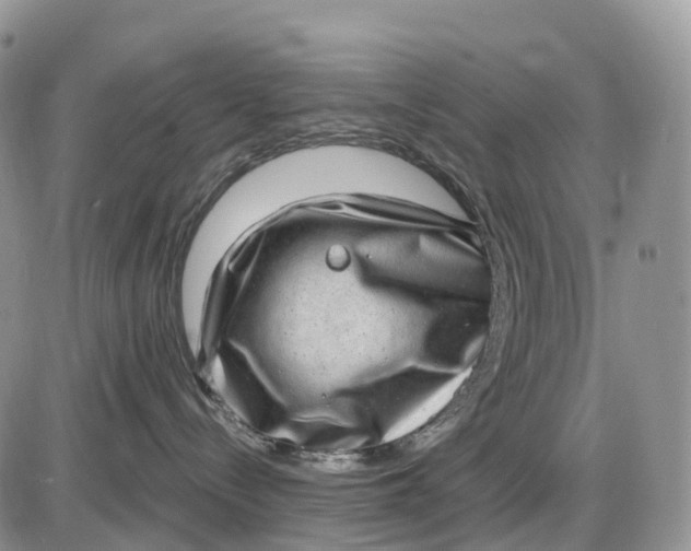 X0000085240288200703231632