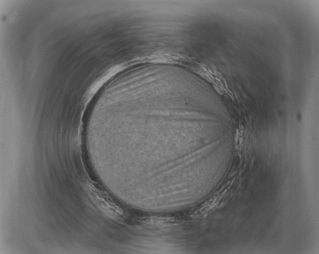X0000085240292200703231631