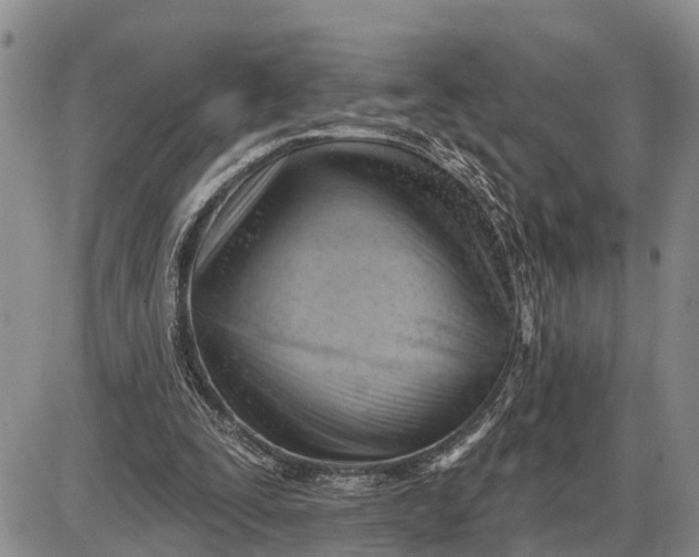 X0000085240295200703231631