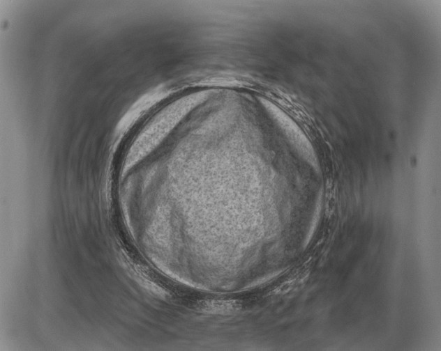 X0000085240296200703231631