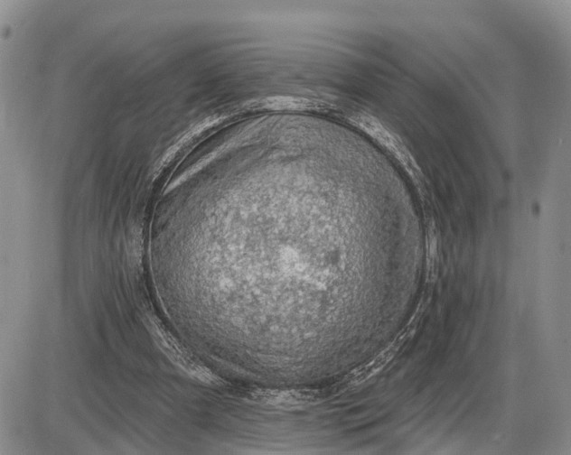 X0000085240297200703231631