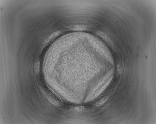 X0000085240304200703231631