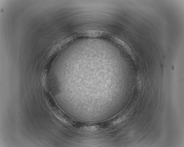 X0000085240307200703231631