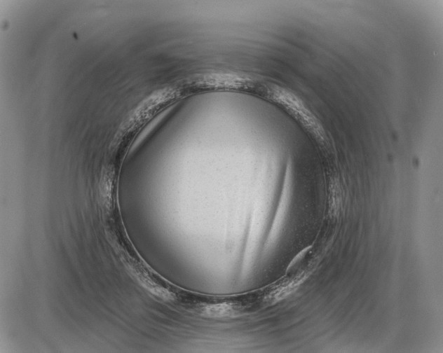 X0000085240309200703231631