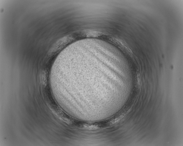 X0000085240311200703231631