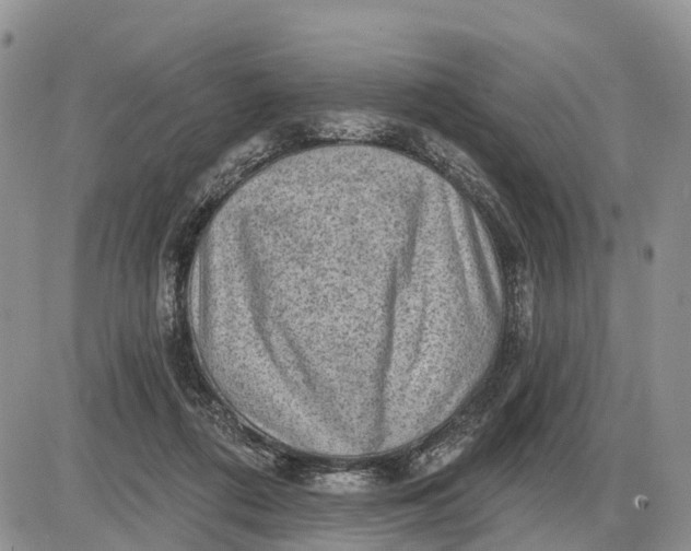 X0000085240312200703231631