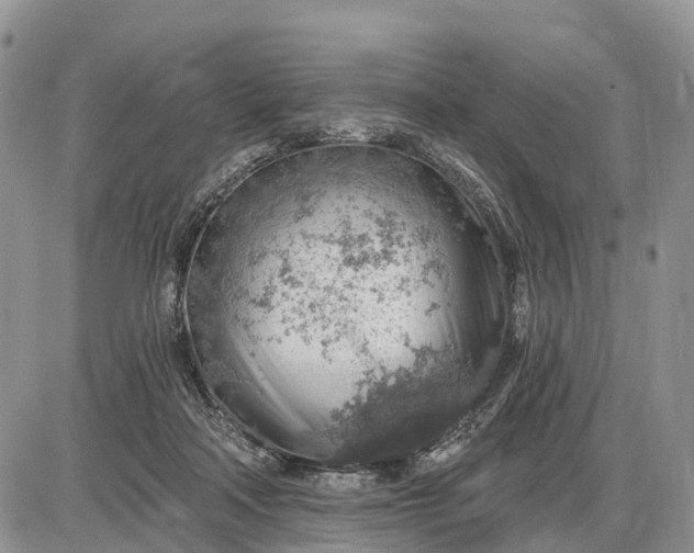 X0000085240314200703231631