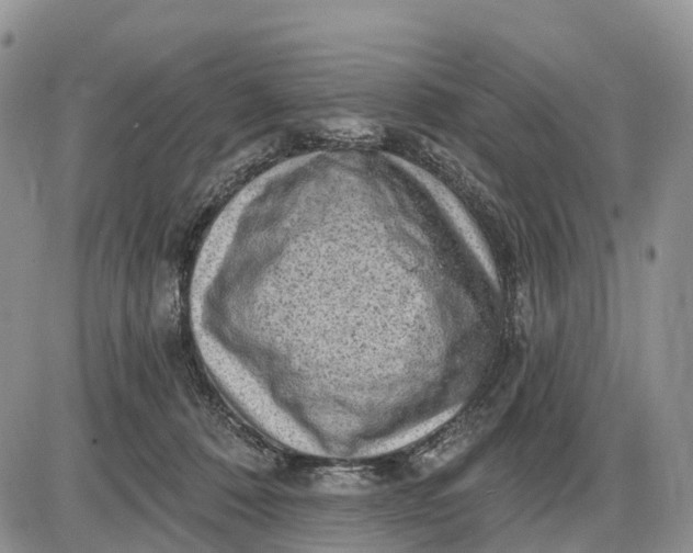 X0000085240320200703231631