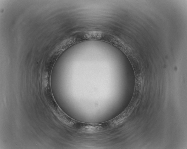 X0000085240323200703231631