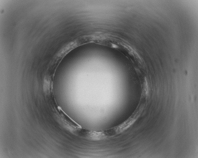 X0000085240333200703231630