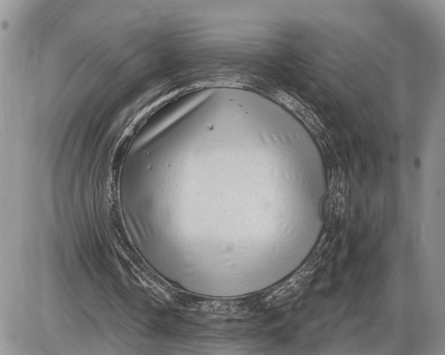 X0000085240338200703231630