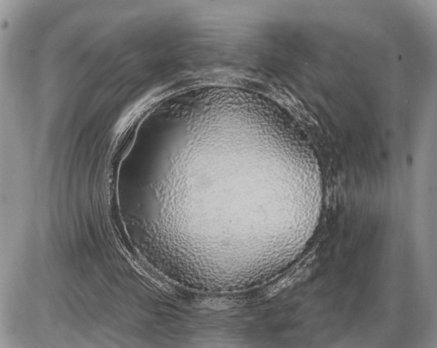 X0000085240341200703231630