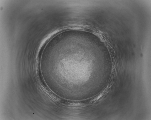 X0000085240342200703231630