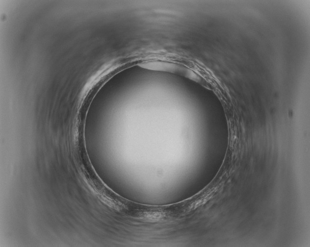 X0000085240344200703231630