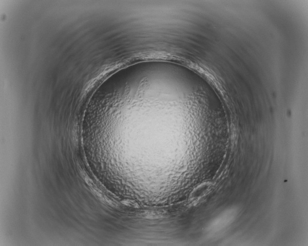 X0000085240345200703231630