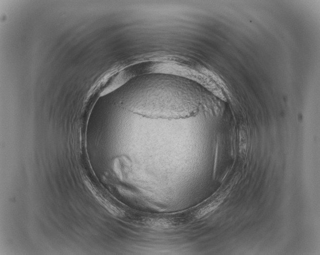 X0000085240349200703231630